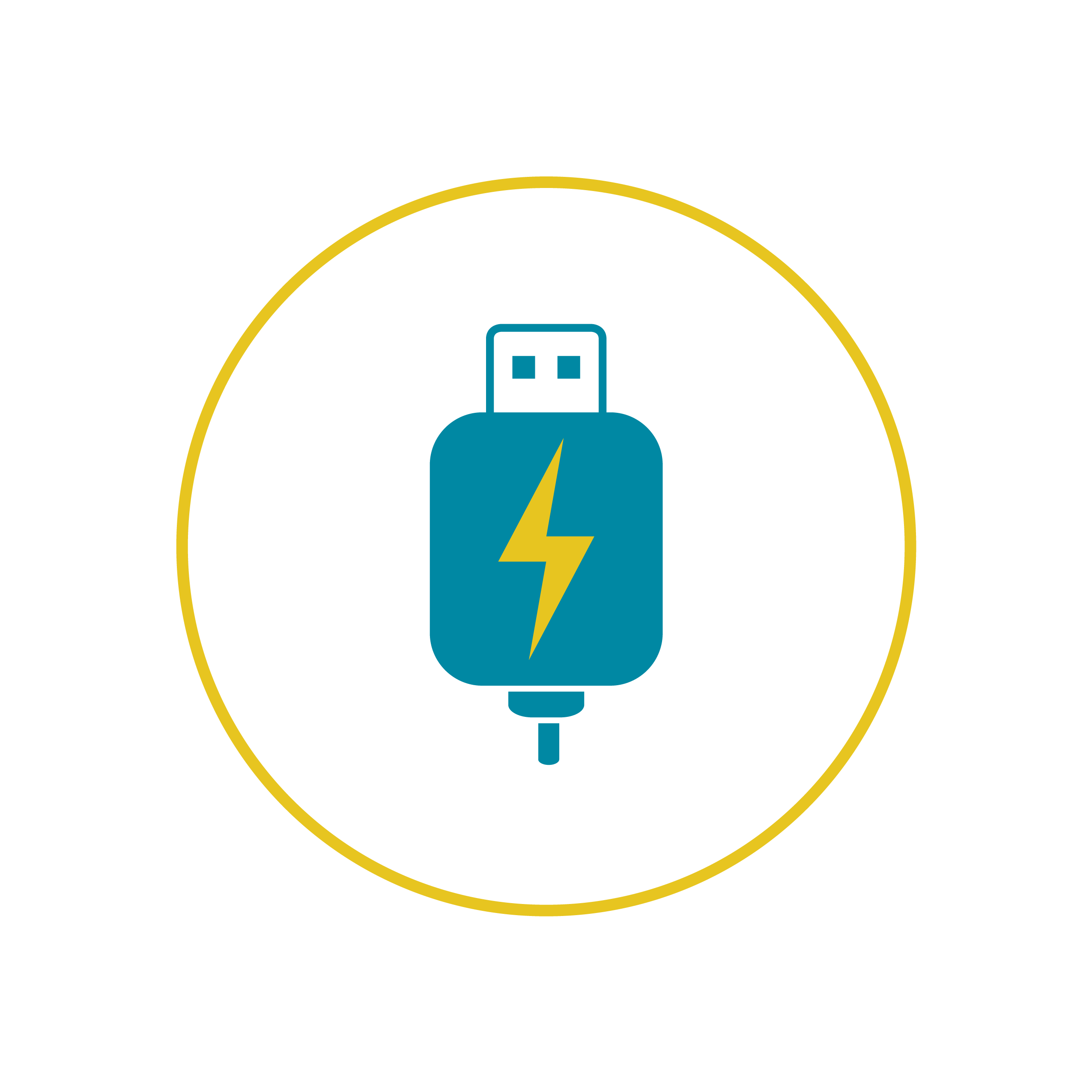 Bouton : Utiliser un chargeur USB / USB C / Lightning
